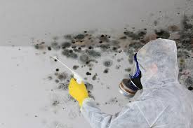 Mold Removal for HVAC Installations in Ardsley, NY